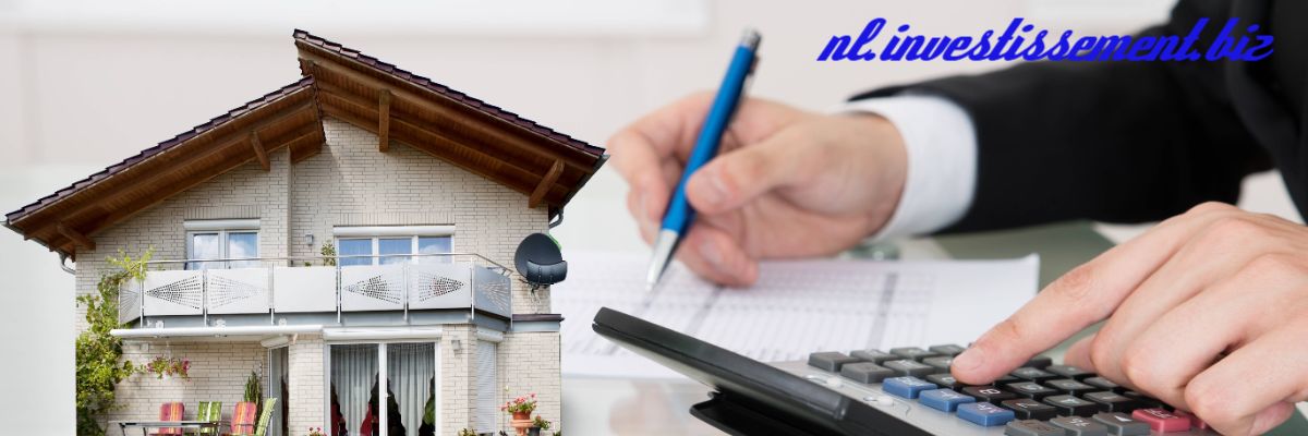 nl.investissement.biz
